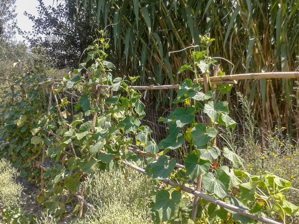 Aroggia Farm Villa Xanthatai Luaran gambar